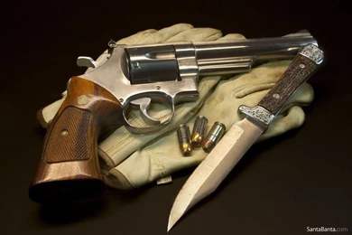 Best Magnum Gun Wallpapers