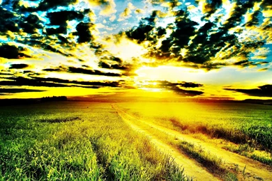 Empty Track Road In The Field
