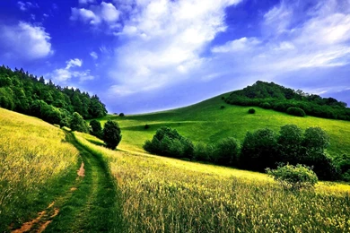 Download Wallpapers 2560x1600 Road, Field, Track, Slope, Hill ...