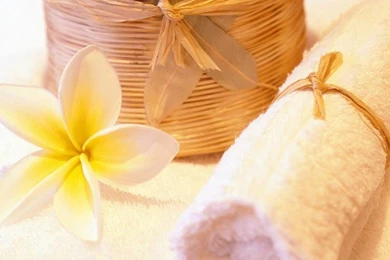 Pink Plumeria   Full HD Wallpapers Search