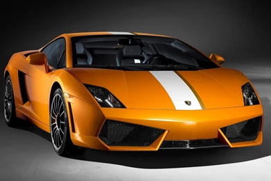 Lamborghini Gallardo 2014 White   Image