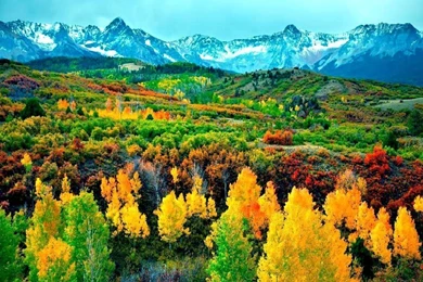 2015 09 29   Page 166