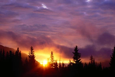 San Isabel National Forest Colorado Wallpapers HD Wallpapers & Bac