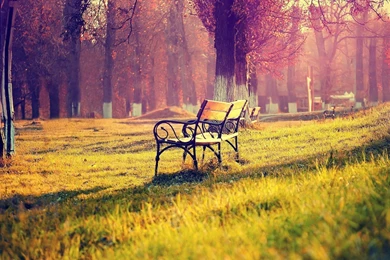 HQ Wallpapers Nature   HD Wallpaper Backgrounds Of Your Choice