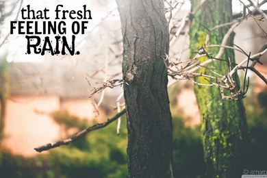 Vintage Desktop Wallpapers Vintage desktop wallpaper Desktop wallpapers vintage Vintage Wallpapers 10.jpg