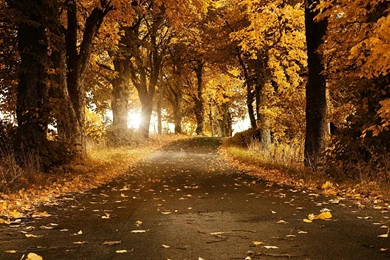 Autumn HD Wallpapers Ipad   Your HD Wallpapers