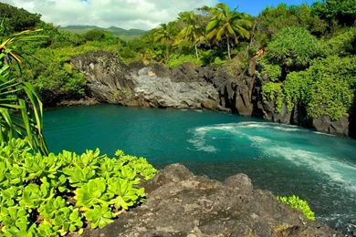 HD Quality Beautiful Hawaii Wallpapers HD 4 Widescreen ...