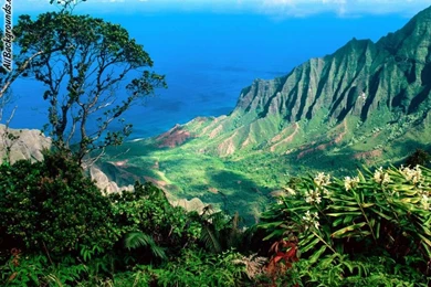 Top Hawaii Backgrounds For Twitter Images For Pinterest