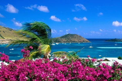 Free Hawaii Beach Photos Wallpapers