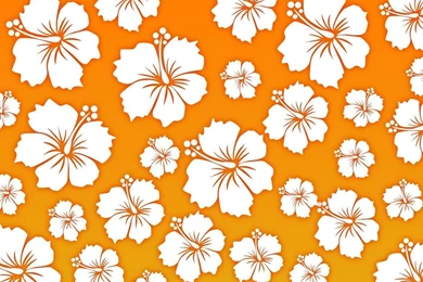 Hawaiian Flower Free Vector Art   (3877 Free Downloads)