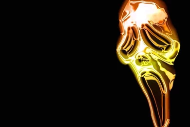 Wallpapers Funny Scream   1024 X 768   Strange Funny Weird Crazy ...