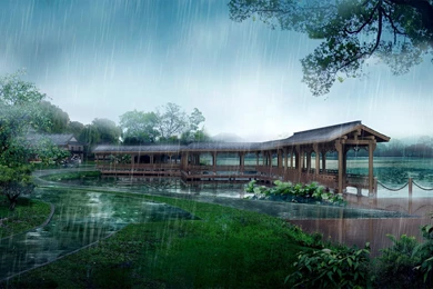 Rainy Nature HD Wallpaper, Rainy Nature Images