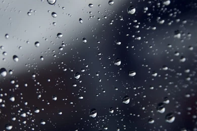 Rain Drops Wallpapers   Photography Wallpapers