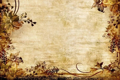 Texture background pattern flowers