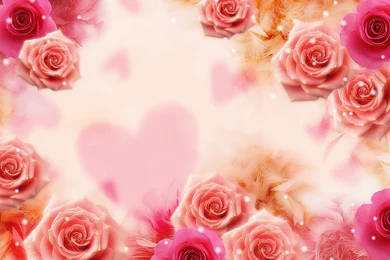 Yellow Rose Wallpapers Wallpapers High Definition High Quality ...