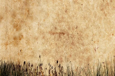 Texture Background Images   HD Wallpapers Lovely