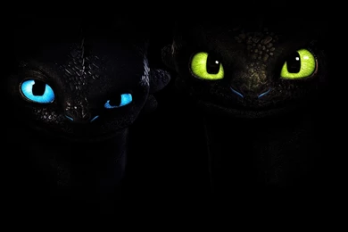 Two Baby Black Dragon Wallpapers And Images   Wallpapers, Pictures ...