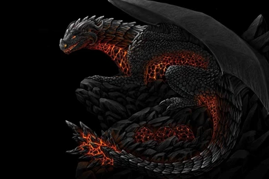 Black Dragon 22 Backgrounds Wallpapers   Hivewallpaper.com