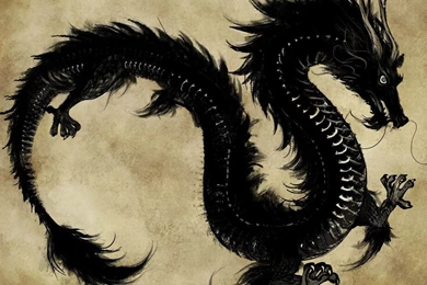 Black Chinese Dragon Wallpapers   Artistic Wallpapers