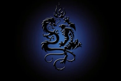 Beautiful Black Dragons Wallpapers 42