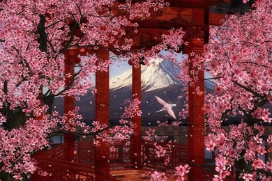 Japan Flowers Wallpapers   Crazy Frankenstein