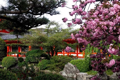 Spring in Japan Wallpaper.jpg