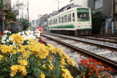 Wallpapers Japan Animaatjes 35 Wallpapers