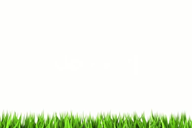 Hd White Wallpapers   HD Wallpapers Pretty