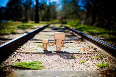 79 Danbo HD Wallpapers