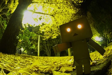 79 Danbo HD Wallpapers