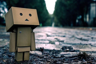 Danbo Wallpapers 4785 Backgrounds Amazing Turimpic.com