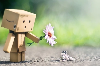 Sad Danbo Wallpapers