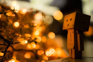 Danbo Wallpapers