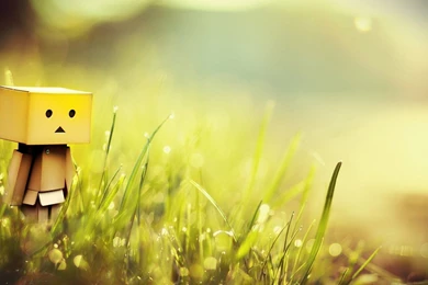 Danbo Wallpapers Computer Free