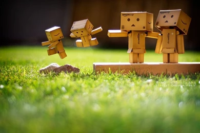 Danbo Love Family HD Wallpapers