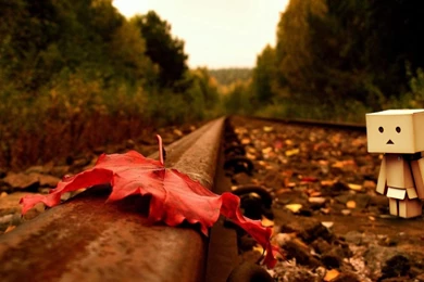 Danbo Wallpapers 4145 Images Hd   Turimpic.com