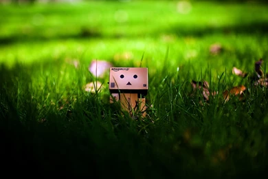 Danbo Helping Little Danbo HD Wallpapers