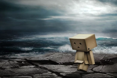 Danbo Wallpapers