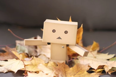 Danbo Computer Wallpapers, Desktop Backgrounds