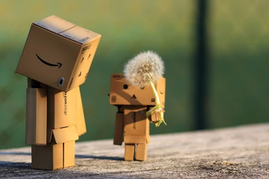 Danbo Wallpapers