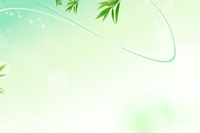 Leaves Twitter Backgrounds Twitterevolutions