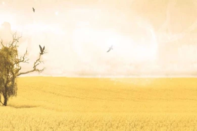 Calm Backgrounds Twitter & Myspace Backgrounds