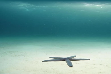 Multi Monitor Wallpapers 29005 HD Wallpapers