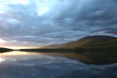 Download 1920x1080 HD Wallpapers Lake Calm Overcast Forest ...