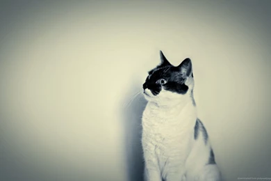 Hipster Computer Backgrounds