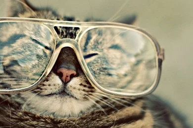 Glasses Hipster Twitter Cover & Twitter Backgrounds