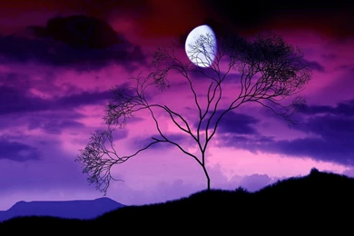 Dark Moon HD Wallpaper Backgrounds Night Moon HD Pics