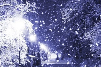 Winter Night iPhone 4s Wallpapers Download
