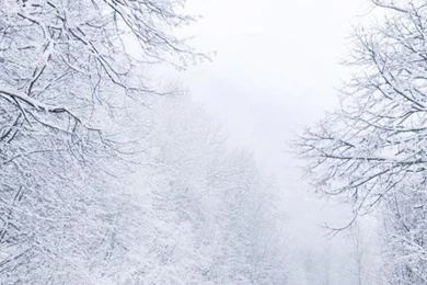 Winter Wallpapers For Iphone 6 Plus   HD Wallpaper Backgrounds Of ...