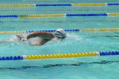 Swimming   Swimming Wallpapers (3411486)   Fanpop